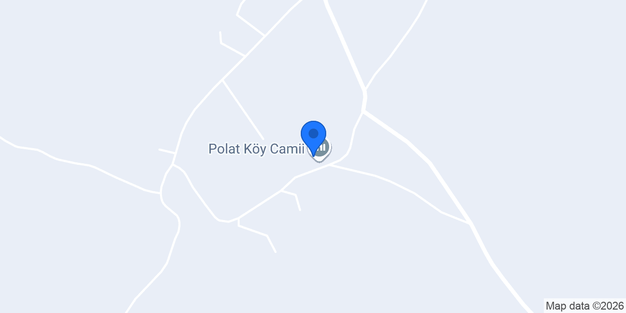 Polat konumu