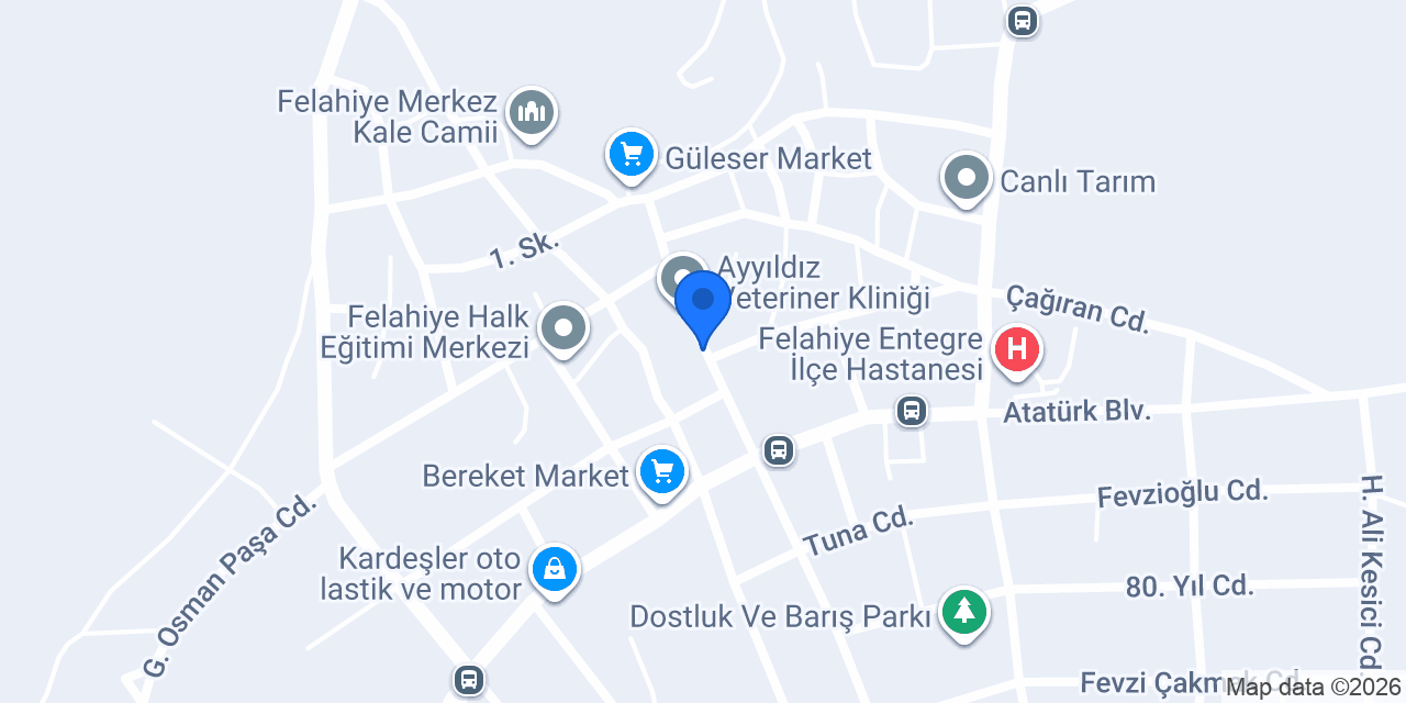 Abul Ticaret konumu