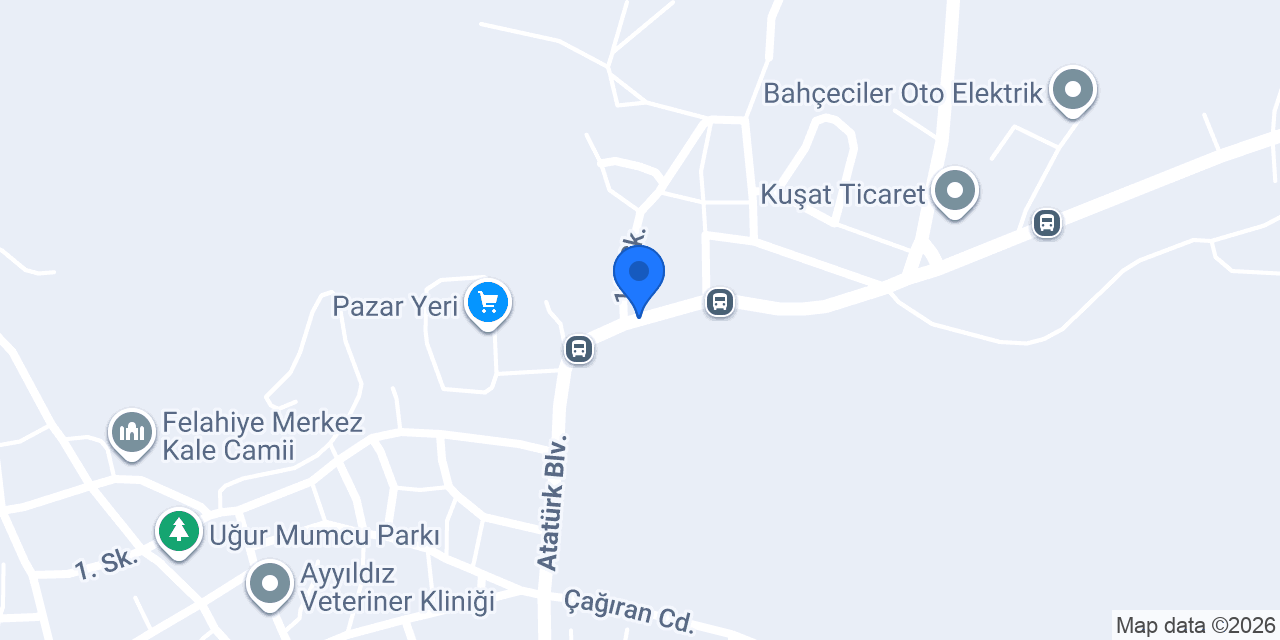 Hizmet Ticaret konumu