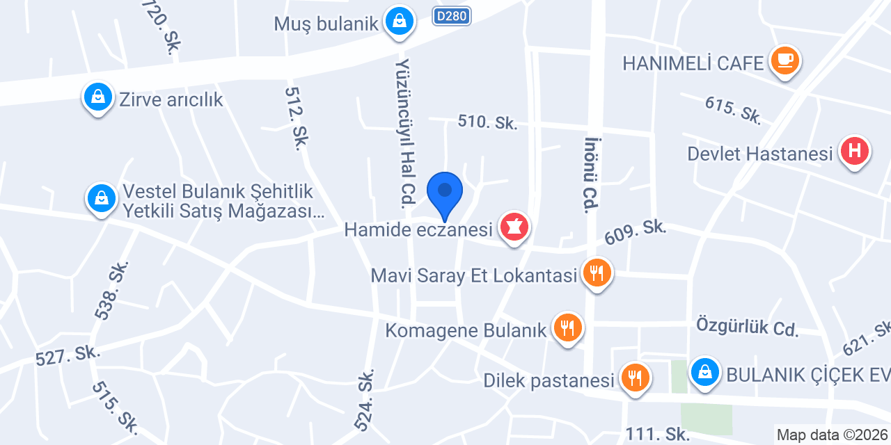 Liz Elektronik konumu