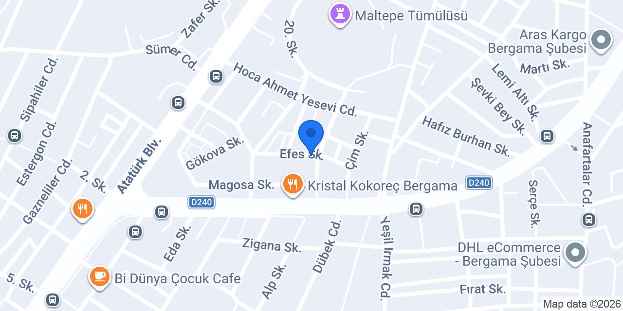 BERGAMA CAN TEKNİK SERVİS konumu