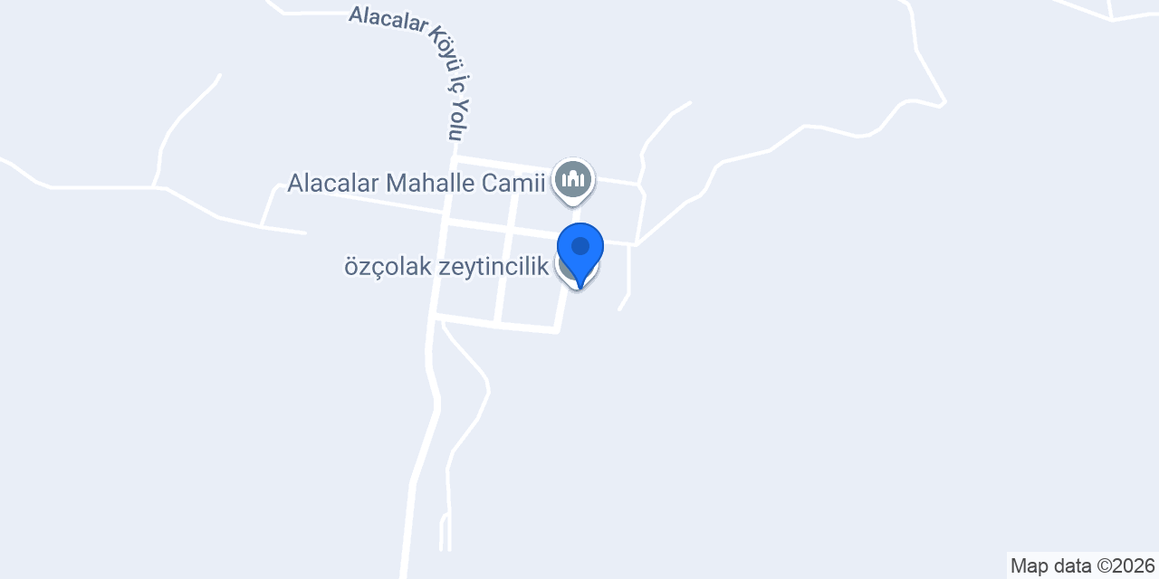 özçolak zeytincilik konumu
