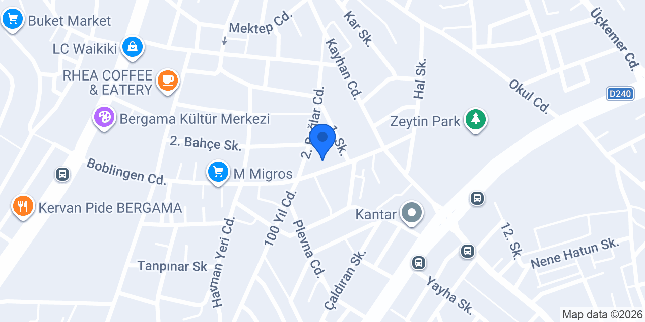 Pasaport Pizza Bergama konumu