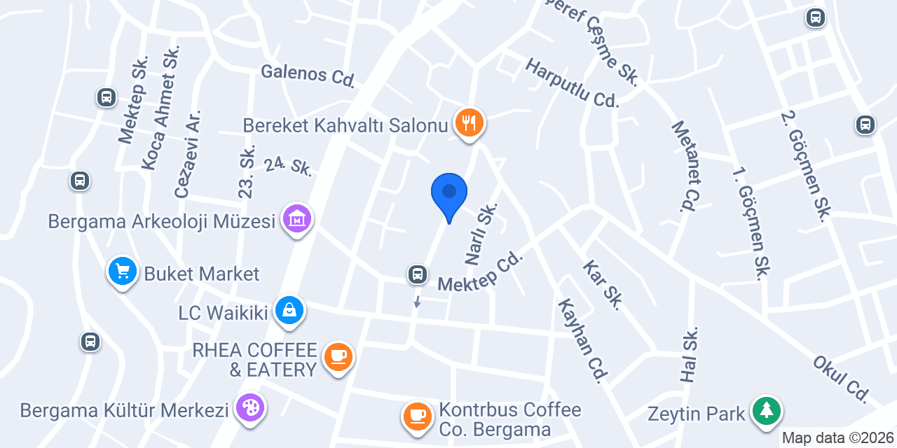 Gezgin Elektrik konumu