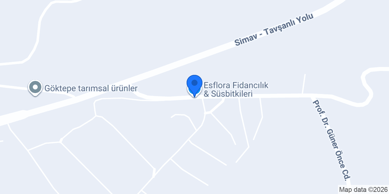 Esflora Fidancılık & Süsbitkileri konumu