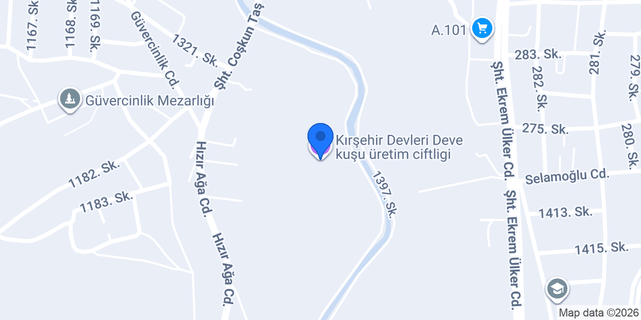 Kırşehir Devleri Deve kuşu üretim ciftligi konumu