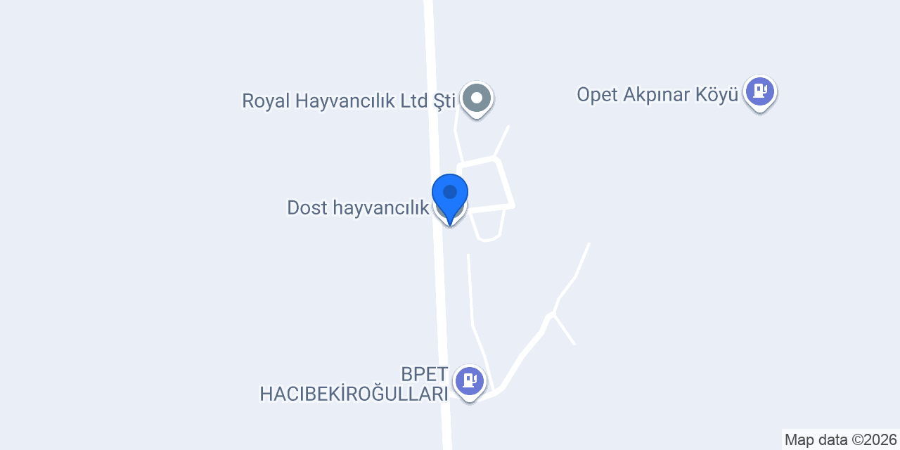 Dost hayvancılık konumu