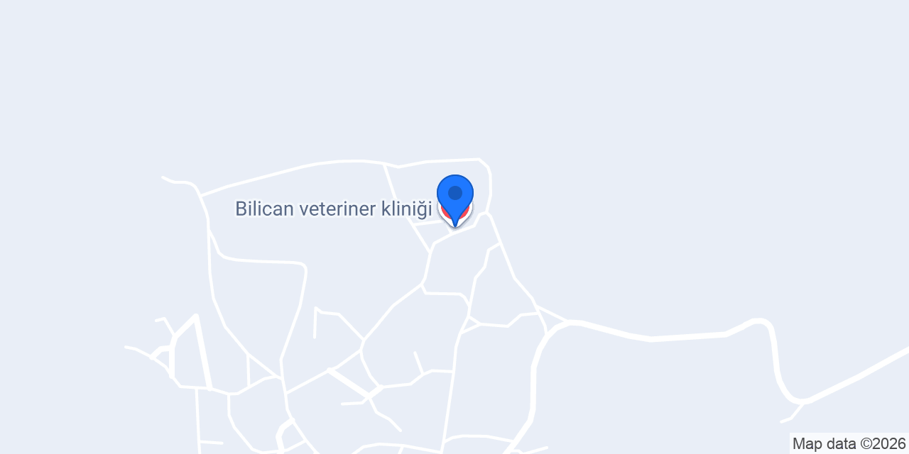 Kotanlı Köyü Muhtarlığı konumu