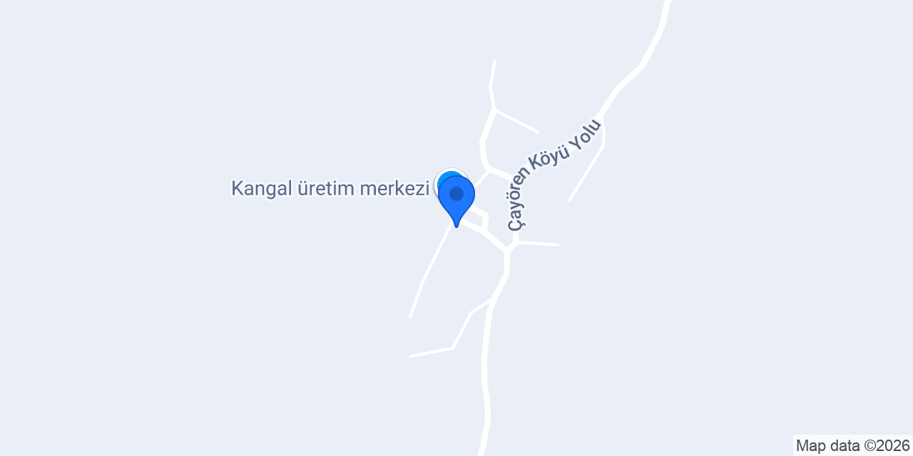 Deniz Bakkal ve Tekel Ürünleri konumu