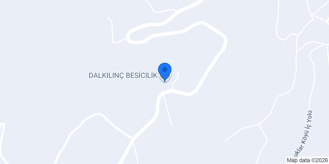 DALKILINÇ BESİCİLİK konumu