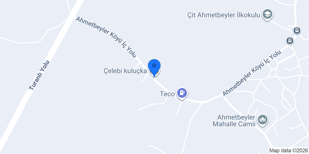 Çelebi kuluçka konumu