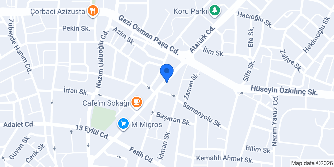 Alev Gıda konumu