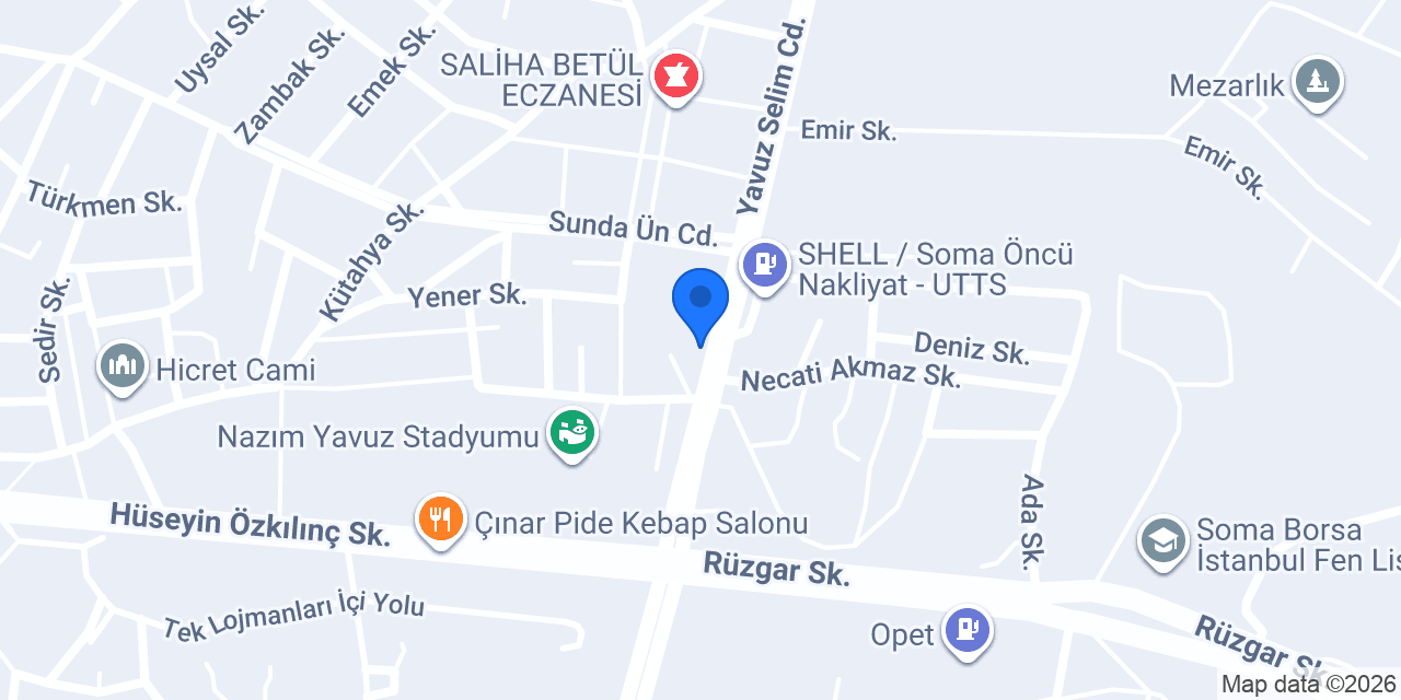ASLAN oto lastik yol yardım konumu