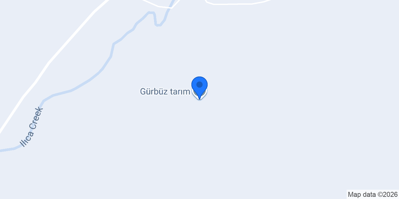 Gürbüz tarım konumu