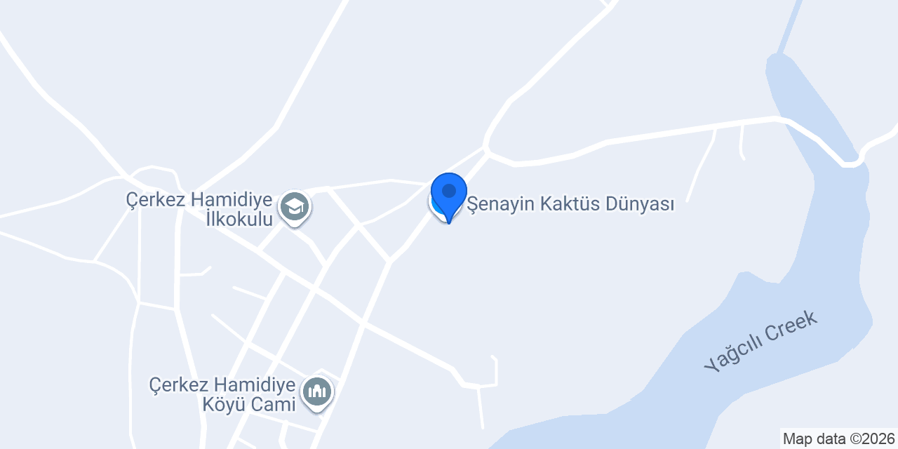 Şenayin Kaktüs Dünyası konumu
