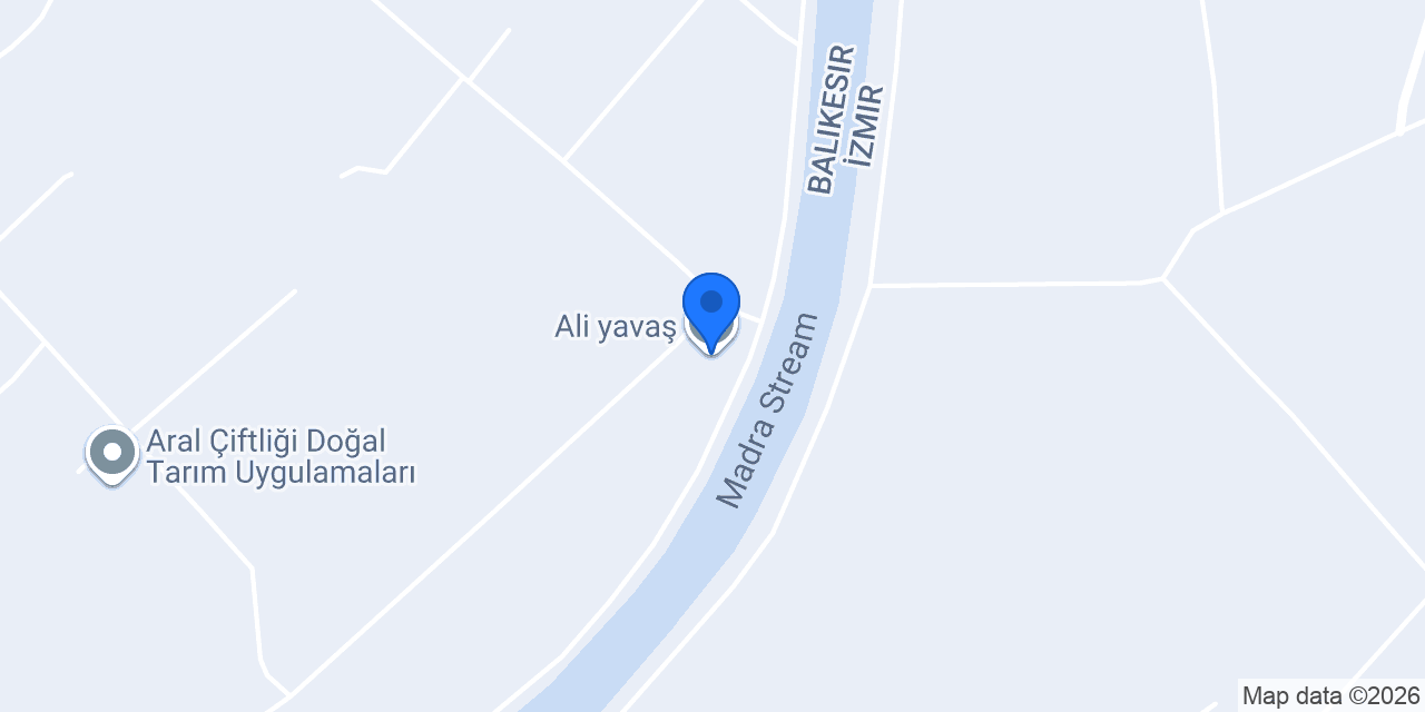 Ali yavaş konumu