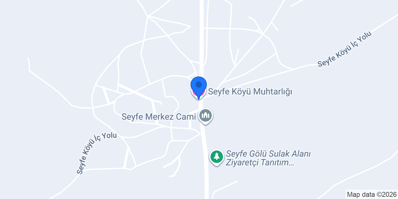 Seyfe Köyü Muhtarlığı konumu