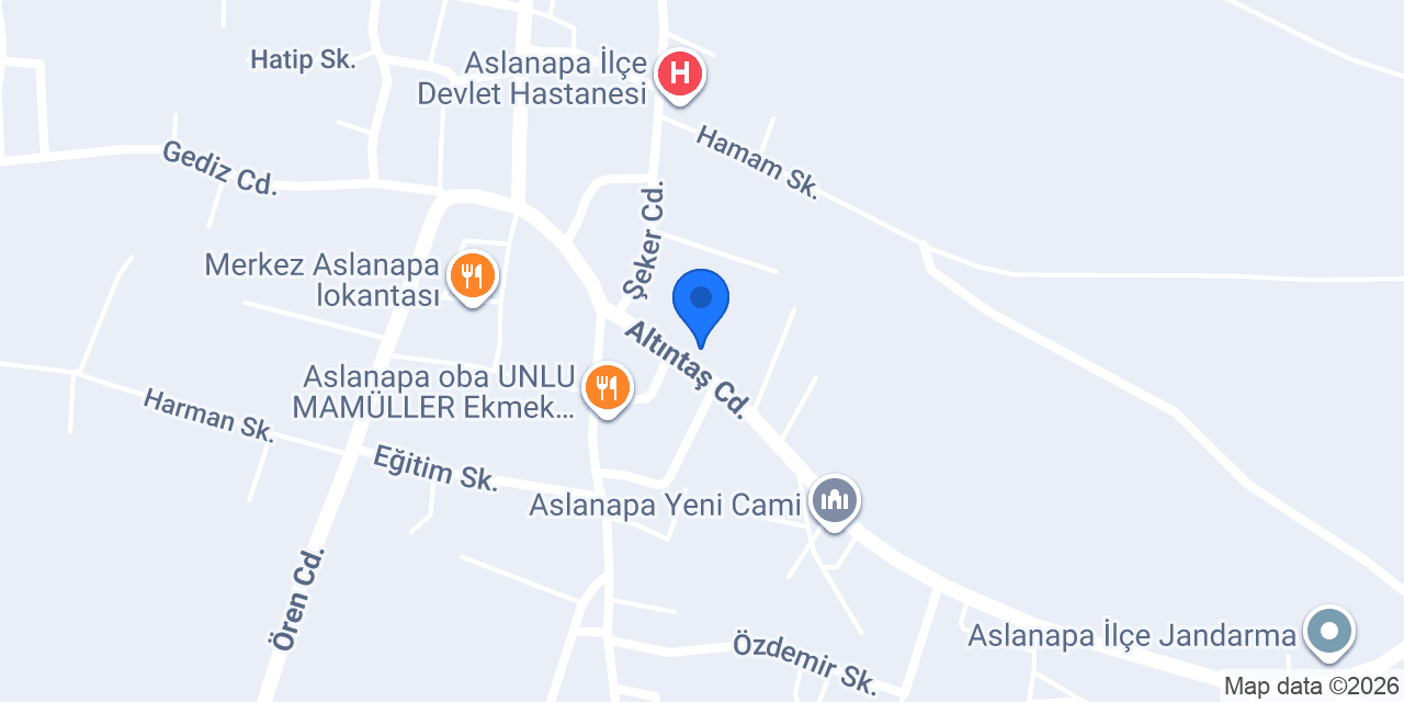 ASLANAPA NEWHOLLAND konumu