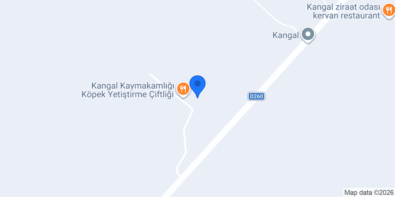 Kangal Restorant&Kafe konumu