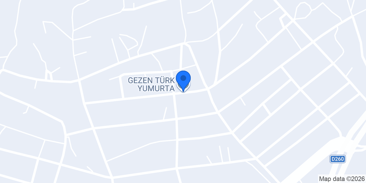 GEZEN TÜRK YUMURTA konumu