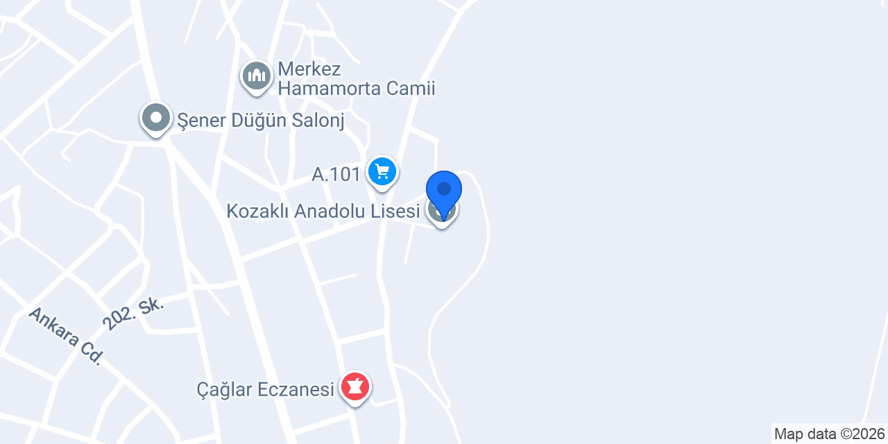 Kozaklı Anadolu Lisesi konumu