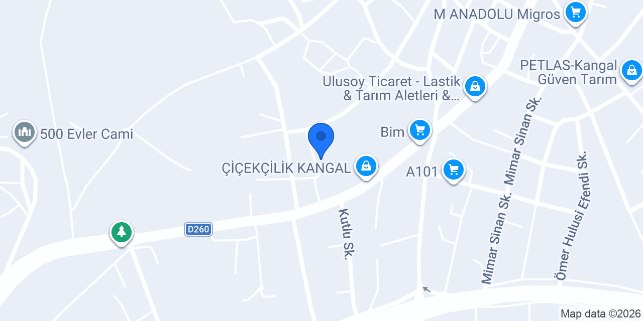 Kongre İlkokulu konumu