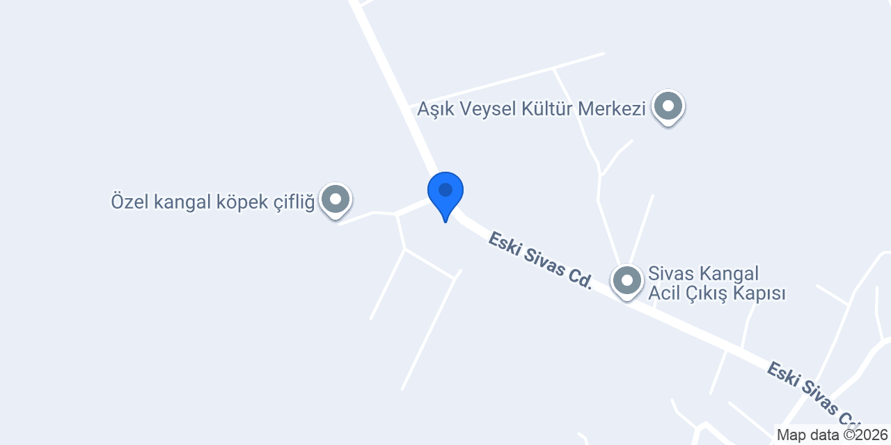 Temel Ticaret LTD.ŞTİ.A.Ş konumu