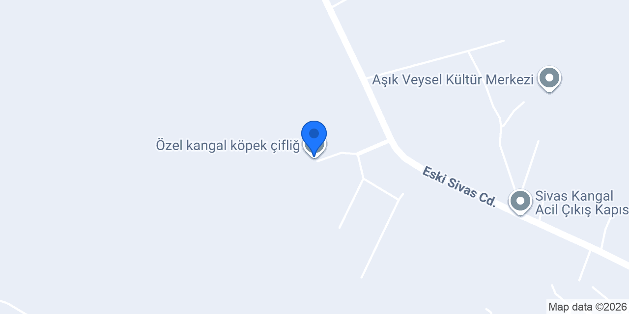 Özel kangal köpek çifliğ konumu