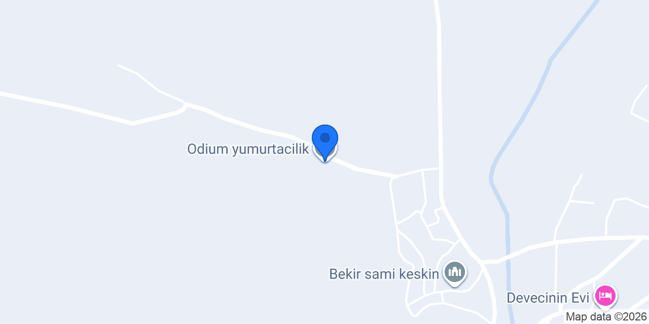 Odium yumurtacilik konumu