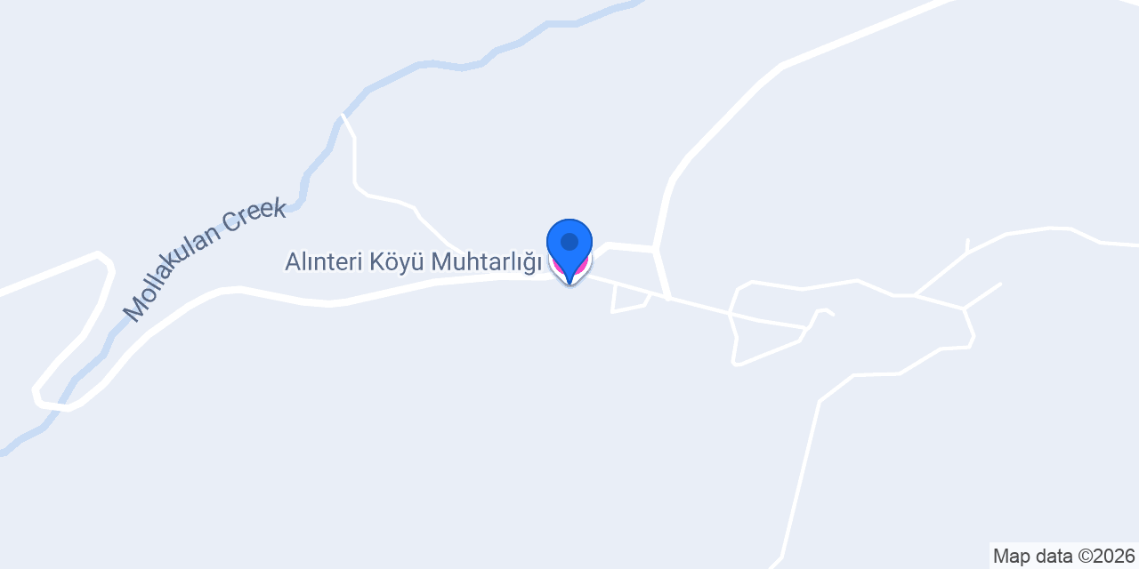 Alınteri Köyü Muhtarlığı konumu