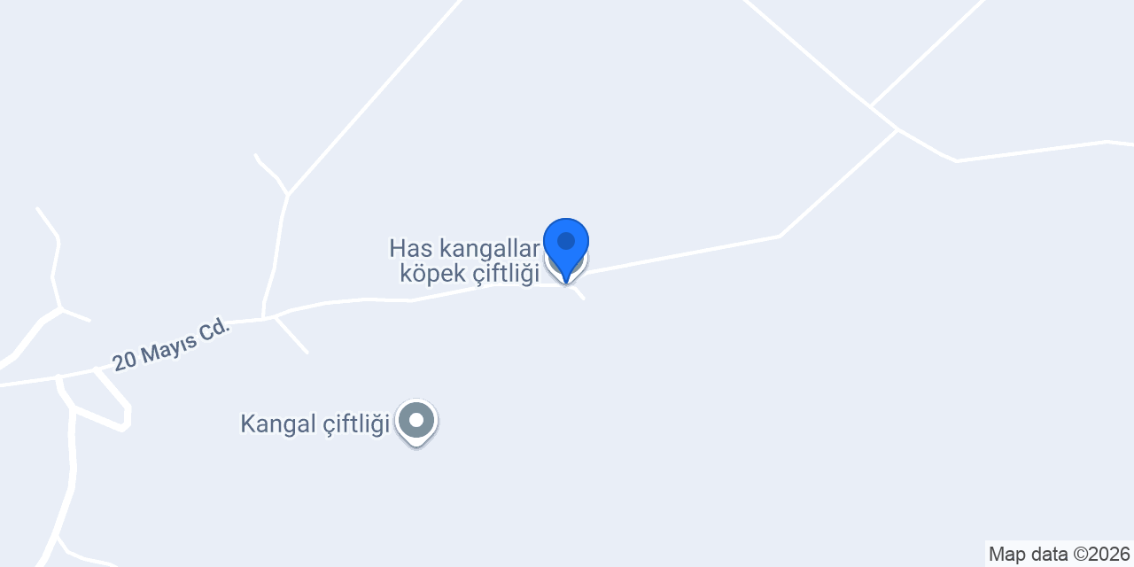 Has kangallar köpek çiftliği konumu