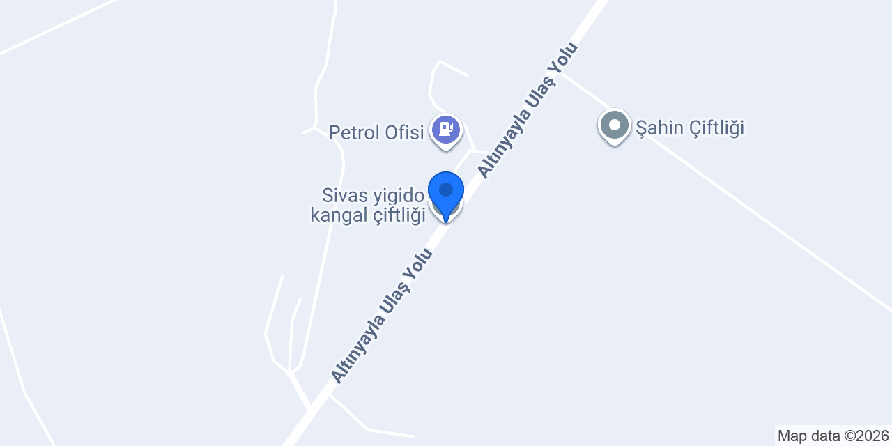 Sivas yigido kangal çiftliği konumu