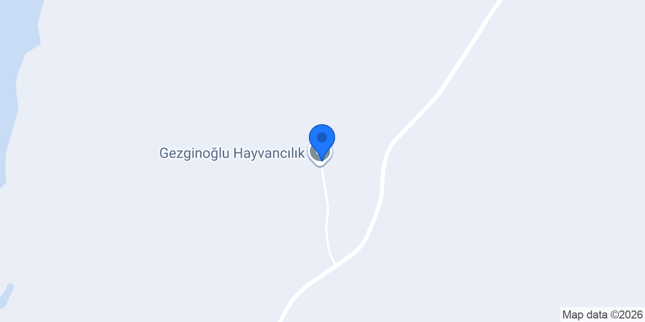 Gezgin Enerji konumu