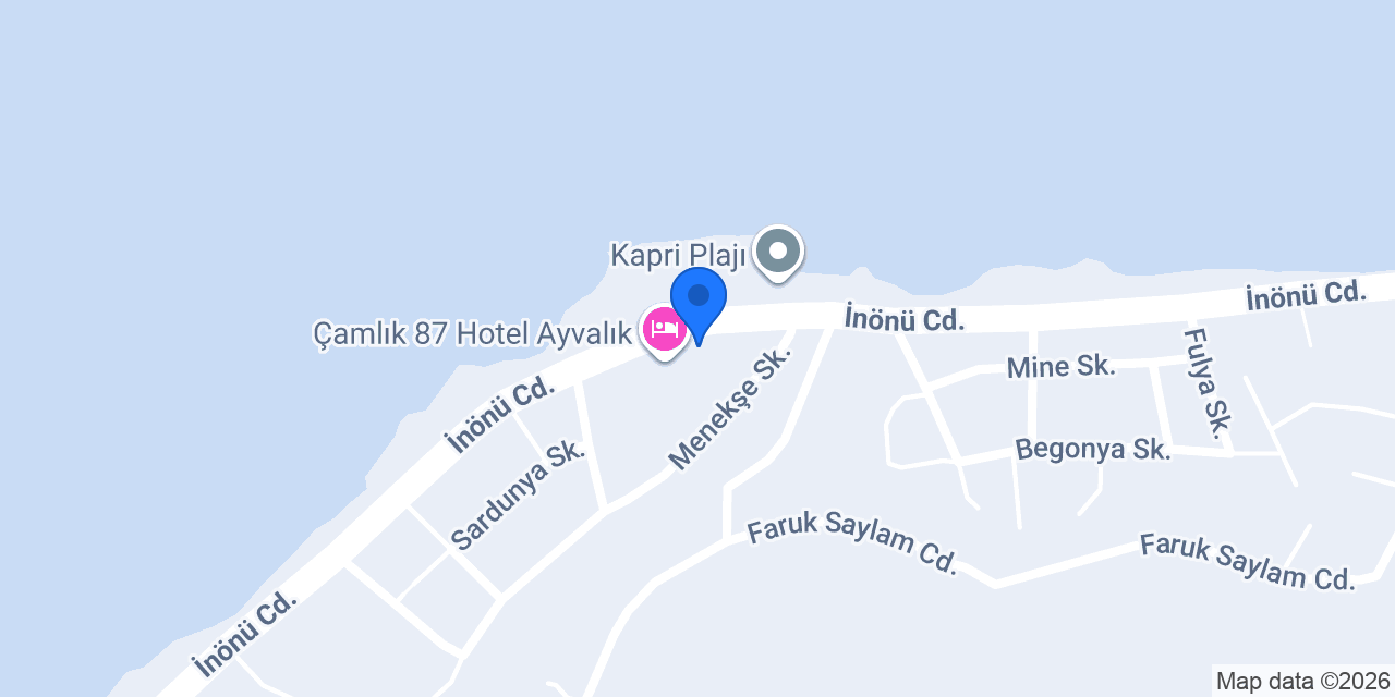 Sefa Çamlı Palas konumu