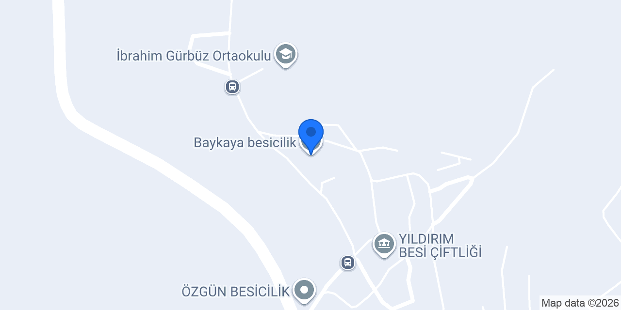 Baykaya besicilik konumu