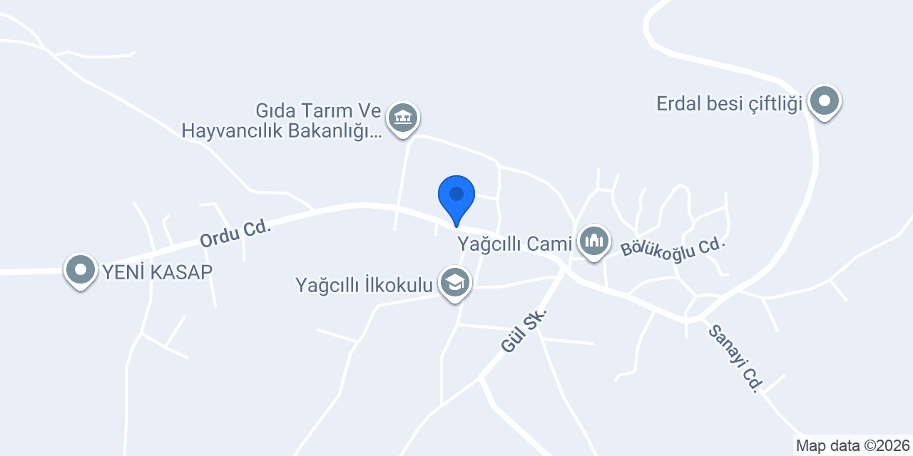 Savaştepe YENİ KASAP konumu