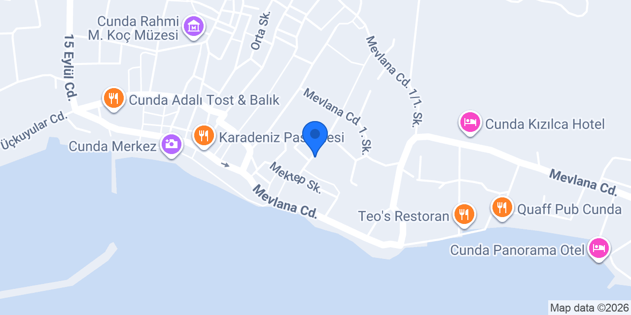 Antikacı Dükkanı Yurtsever konumu