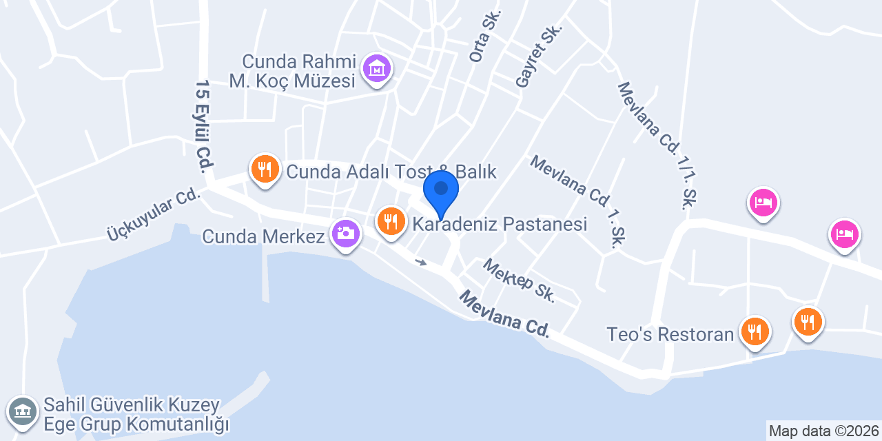 Doctorem International & Metin Egeli konumu