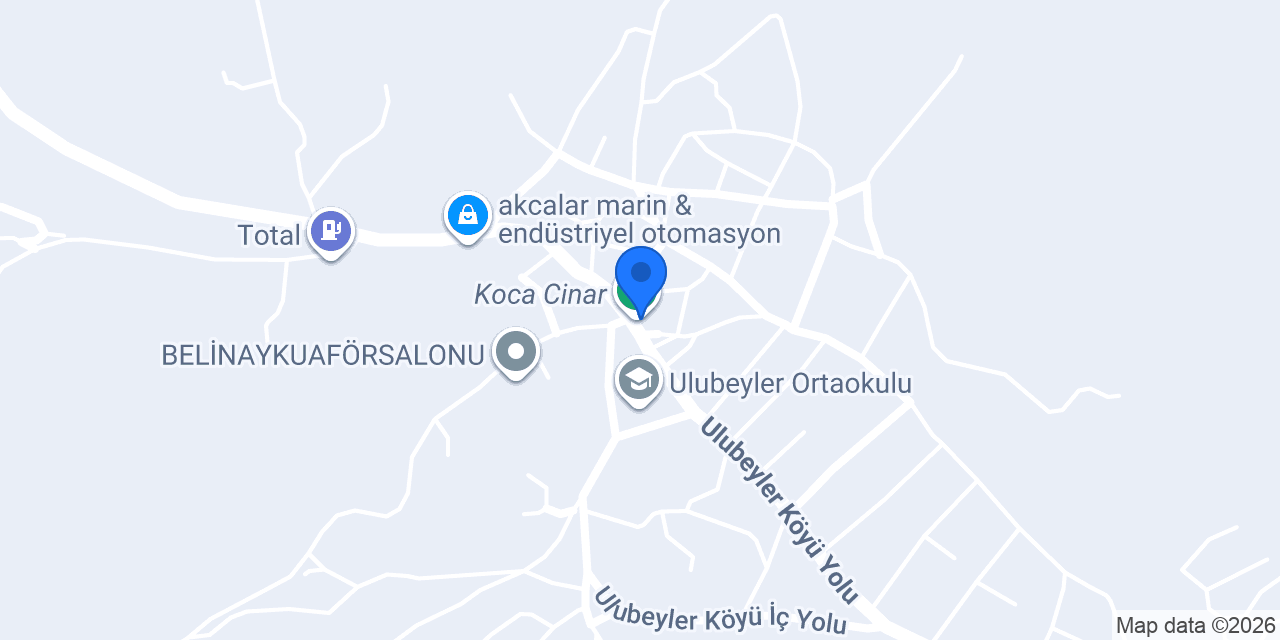 La Mia Oliva konumu