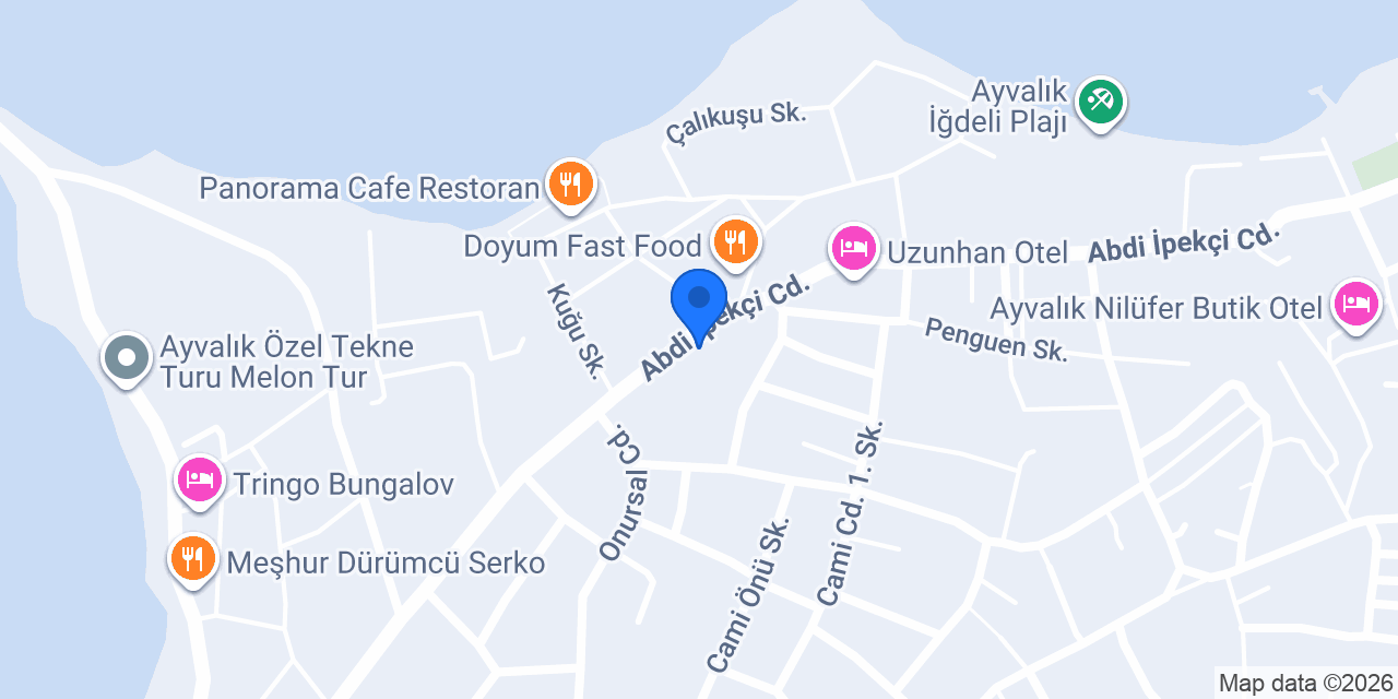 Dis Hekimi Safiye METE konumu