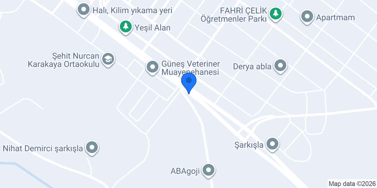 Karas Kardeşlar Asansör Sanayi konumu