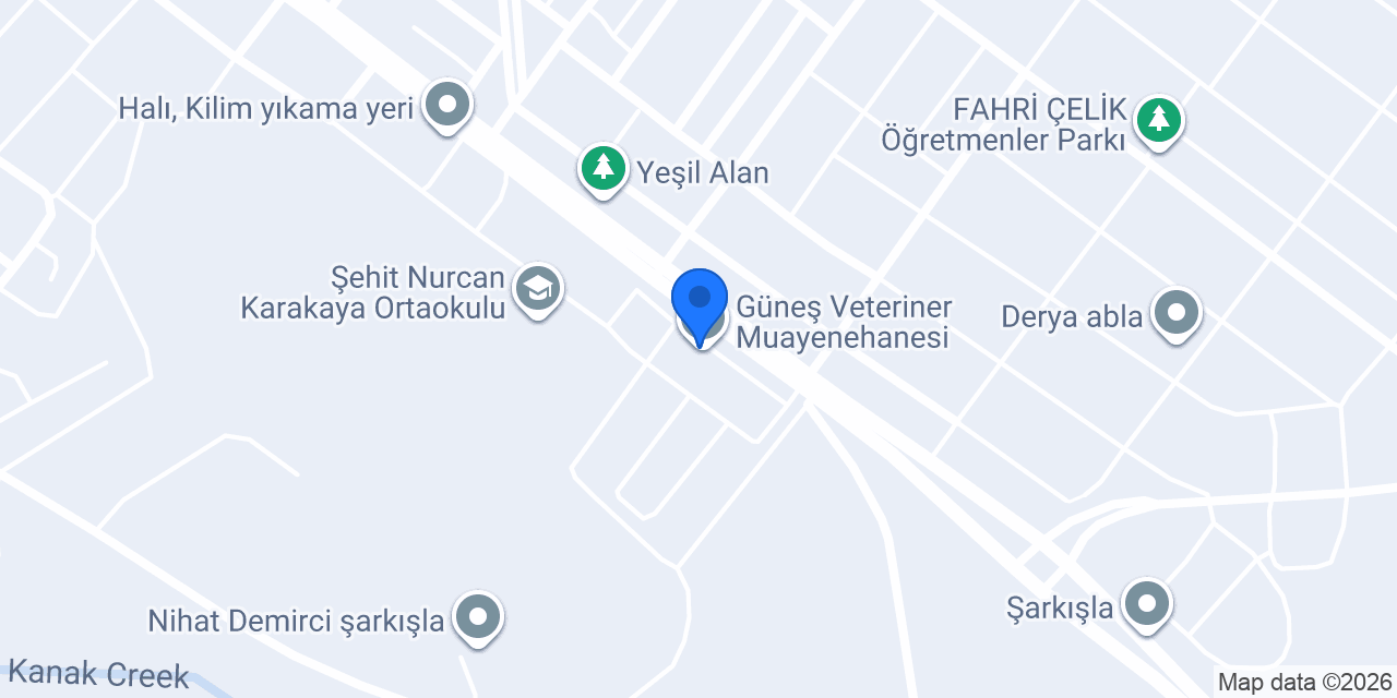 Güneş Veteriner Muayenehanesi konumu
