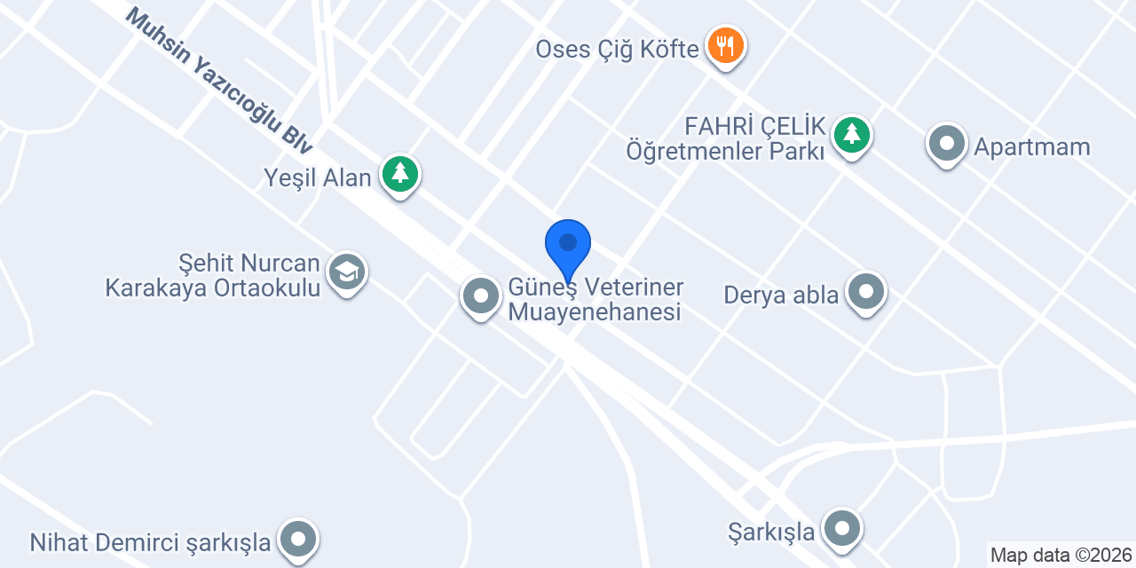 Genç Rota Psikoloji ve Eğitim konumu