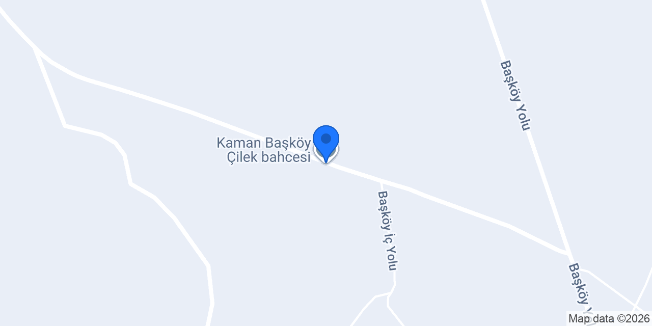 Kaman Başköy Çilek bahcesi konumu