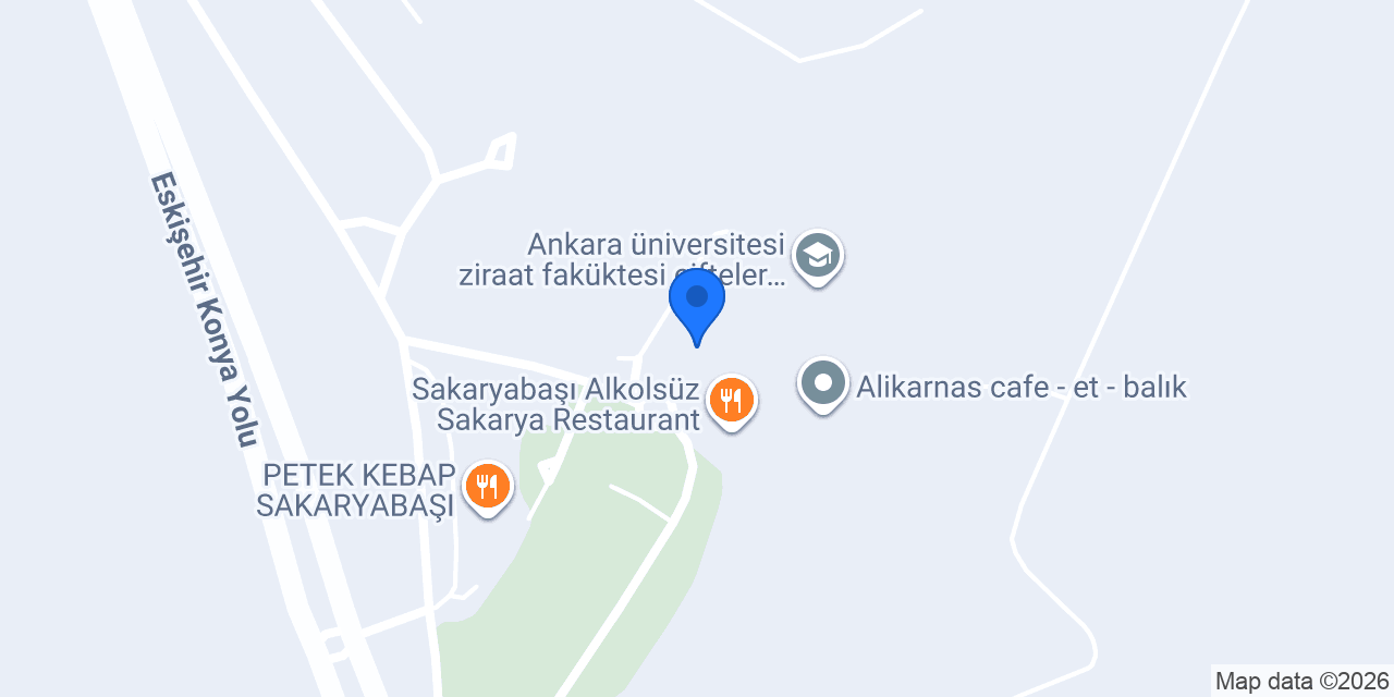 SAKARYABAŞI VİVA FOREVER OTEL konumu