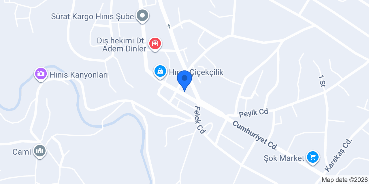 Mersin Tantuni Hınıs konumu