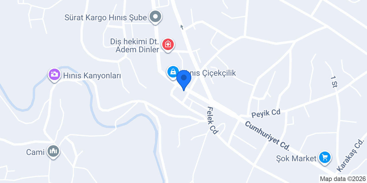 Aras Kargo Hınıs Şubesi konumu