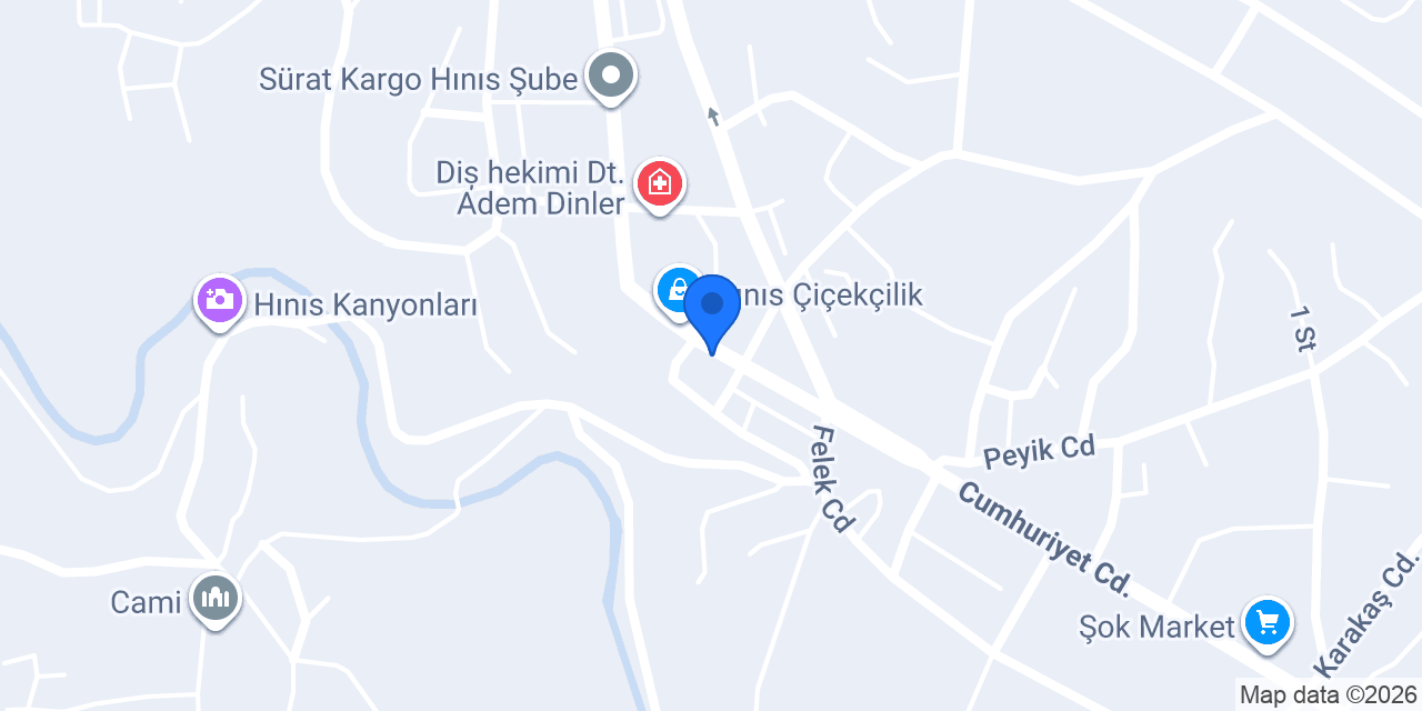 Halkbank Hınıs Şubesi konumu
