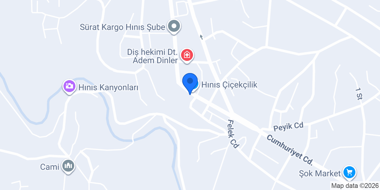 BAL KIRTASİYE HINIS konumu
