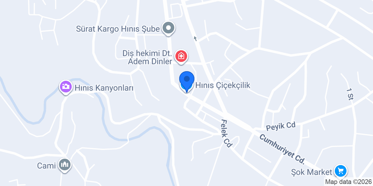 Hınıs Çiçekçilik konumu